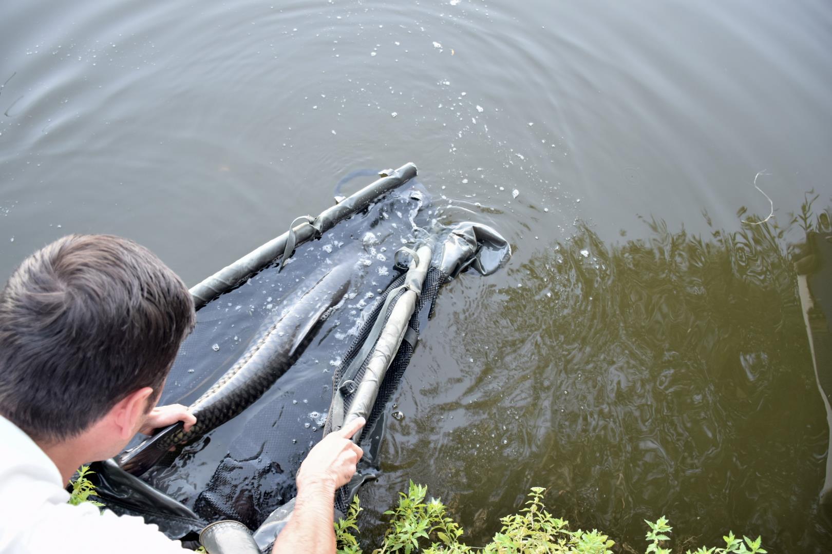 Tancabesti 13 - 15 aug. - csc1016.JPG